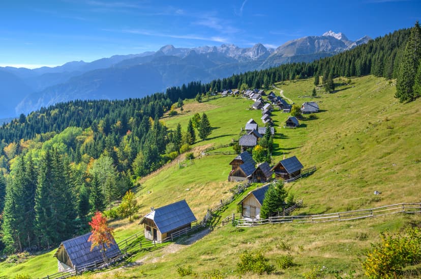 Planina Zajamniki Alpine Meadow in Bohinj