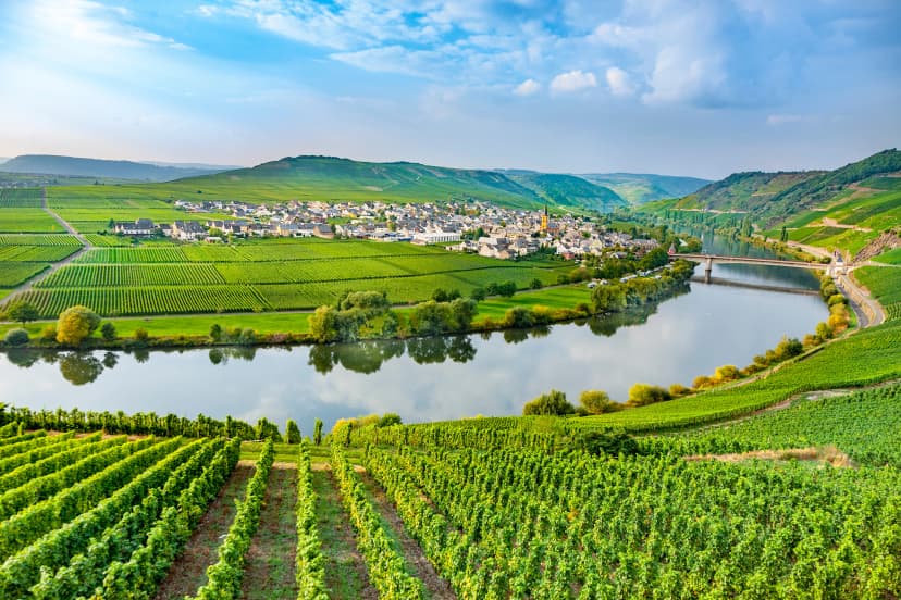 Famous Moselle Sinuosity with vineyards