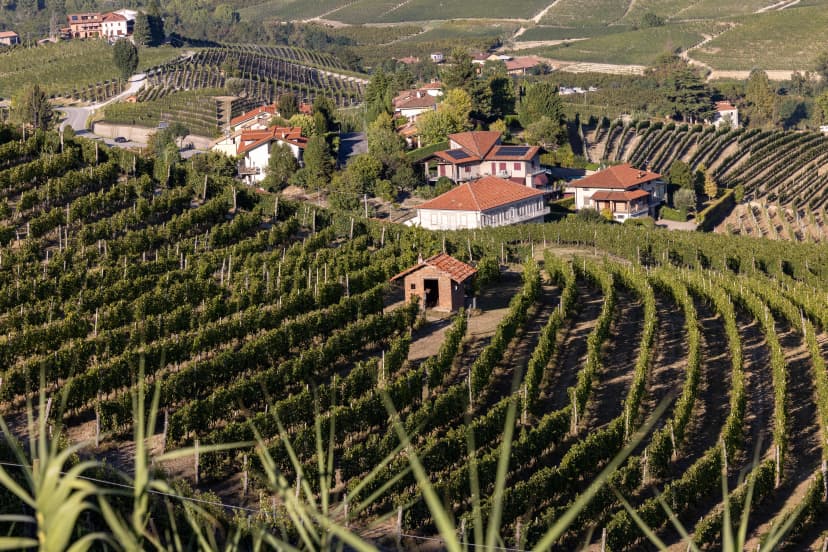 View of Langhe vineyards from La Morra, UNESCO Site, Piedmont, Italy