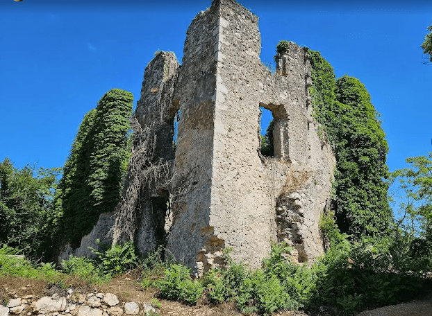 Stone castle ruins covered in thick green ivy under a bright blue sky.