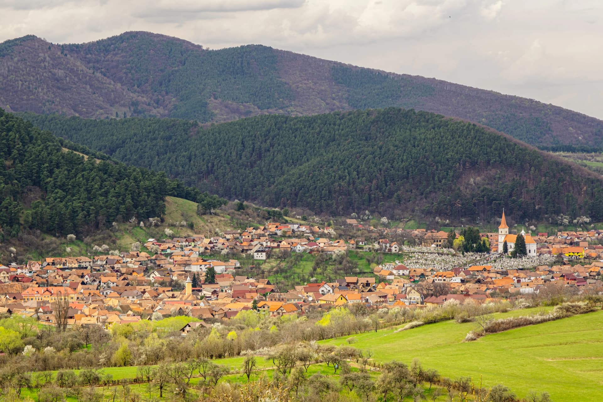 Panoramic View of Poplaca Village in Transylvania, Romania