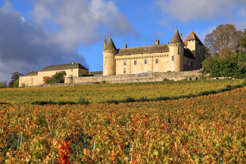 Rully castle in the vineyards, Burgundy, France