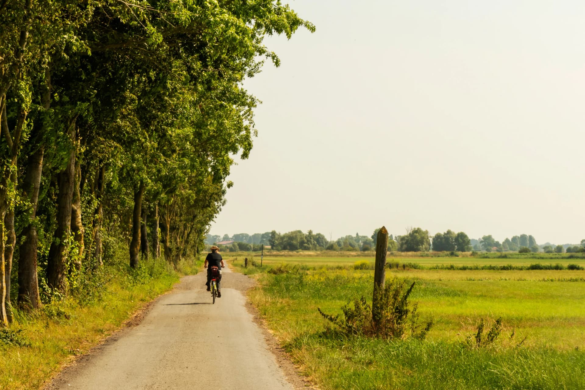 Rural landscape in West Flanders, Belgium near Beveringe with a cycling tourist