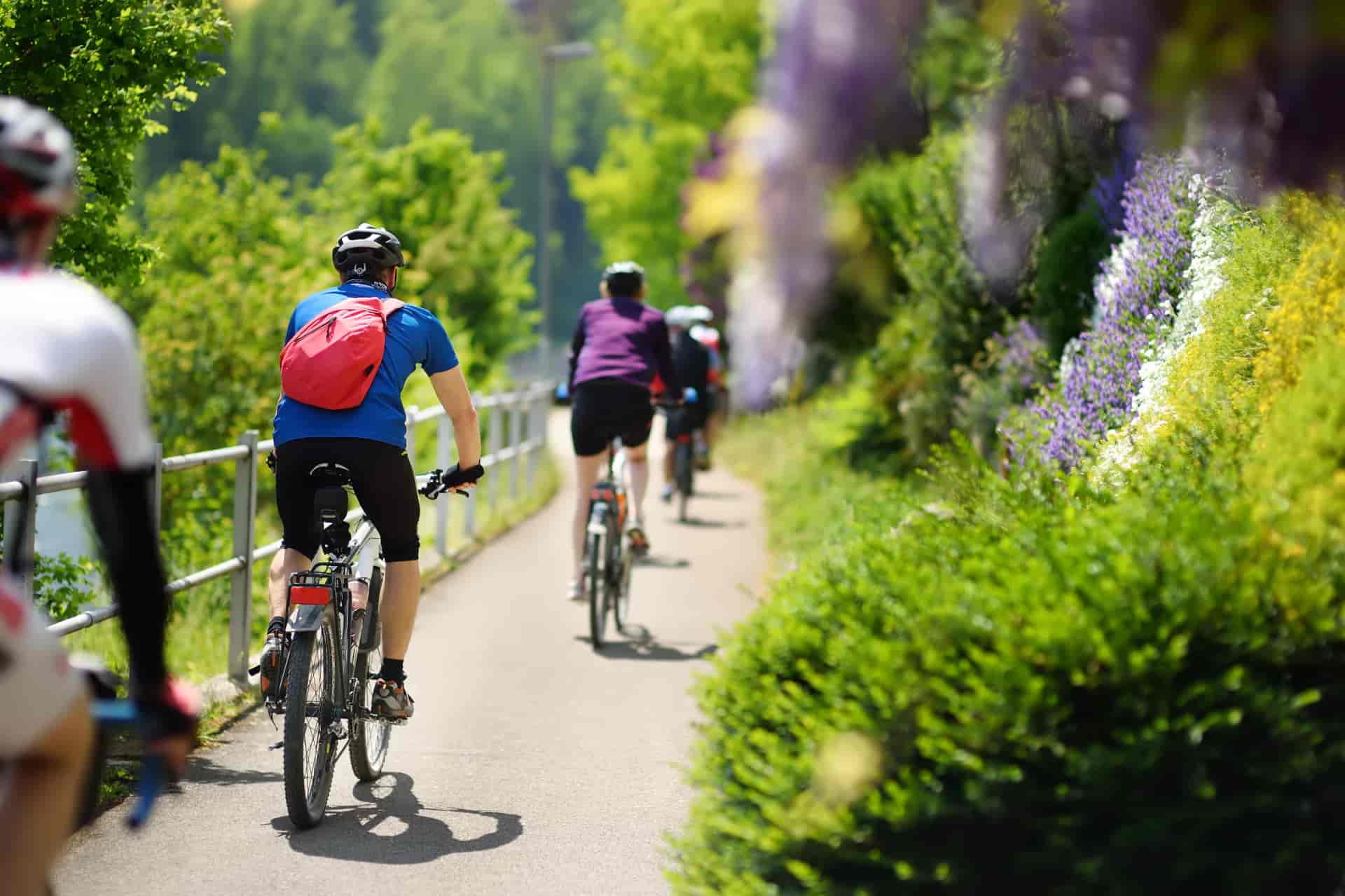 Group of Sportive man cycling in sunny park in hot summer day. Switzerland, Europe