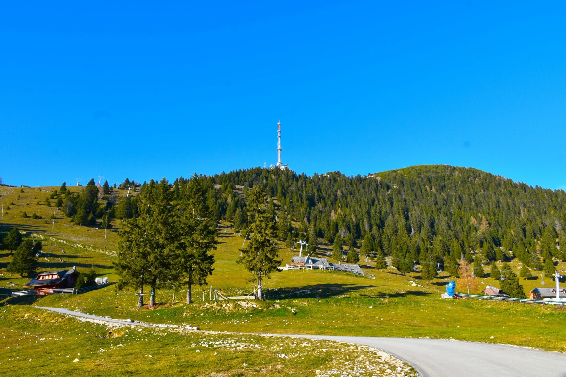 Alpine pasture at Krvavec with conifer forest covered hill above