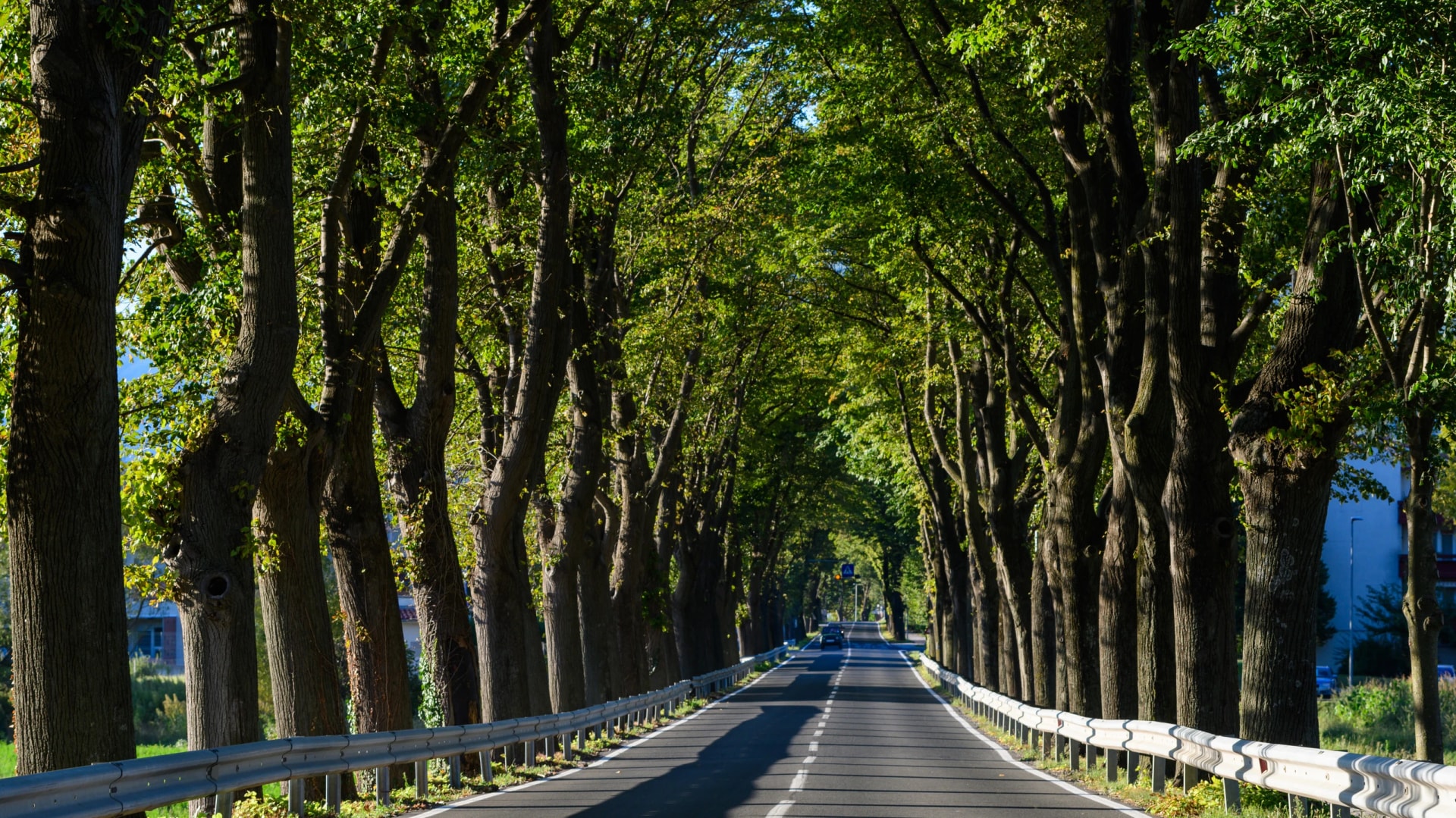 Vipara valley roads