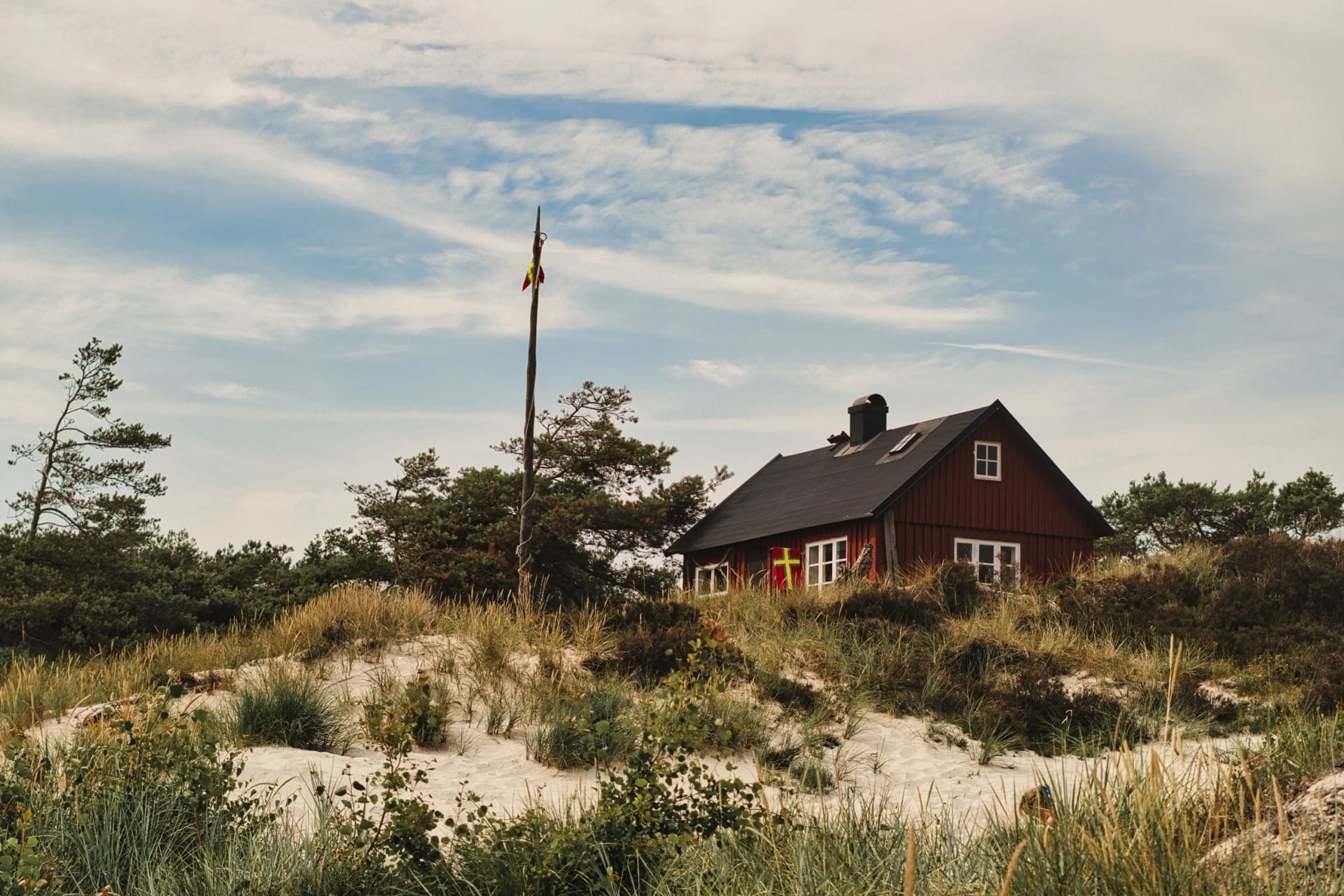 Traditional Swedish Cottage Surrounded by Coastal Sand Dunes and Pine Trees