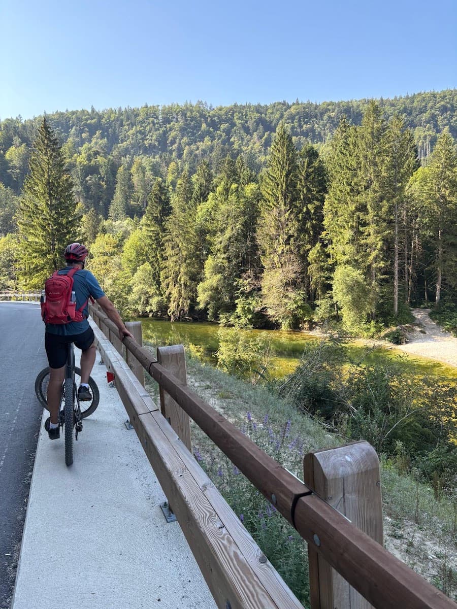 Cyclist on a paved path along a river with dense pine forest