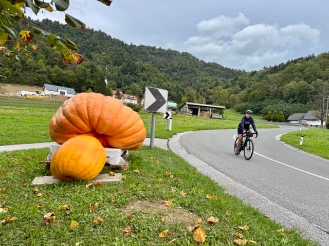 Cyclist riding on a winding rural road past giant pumpkins in a mountain valley